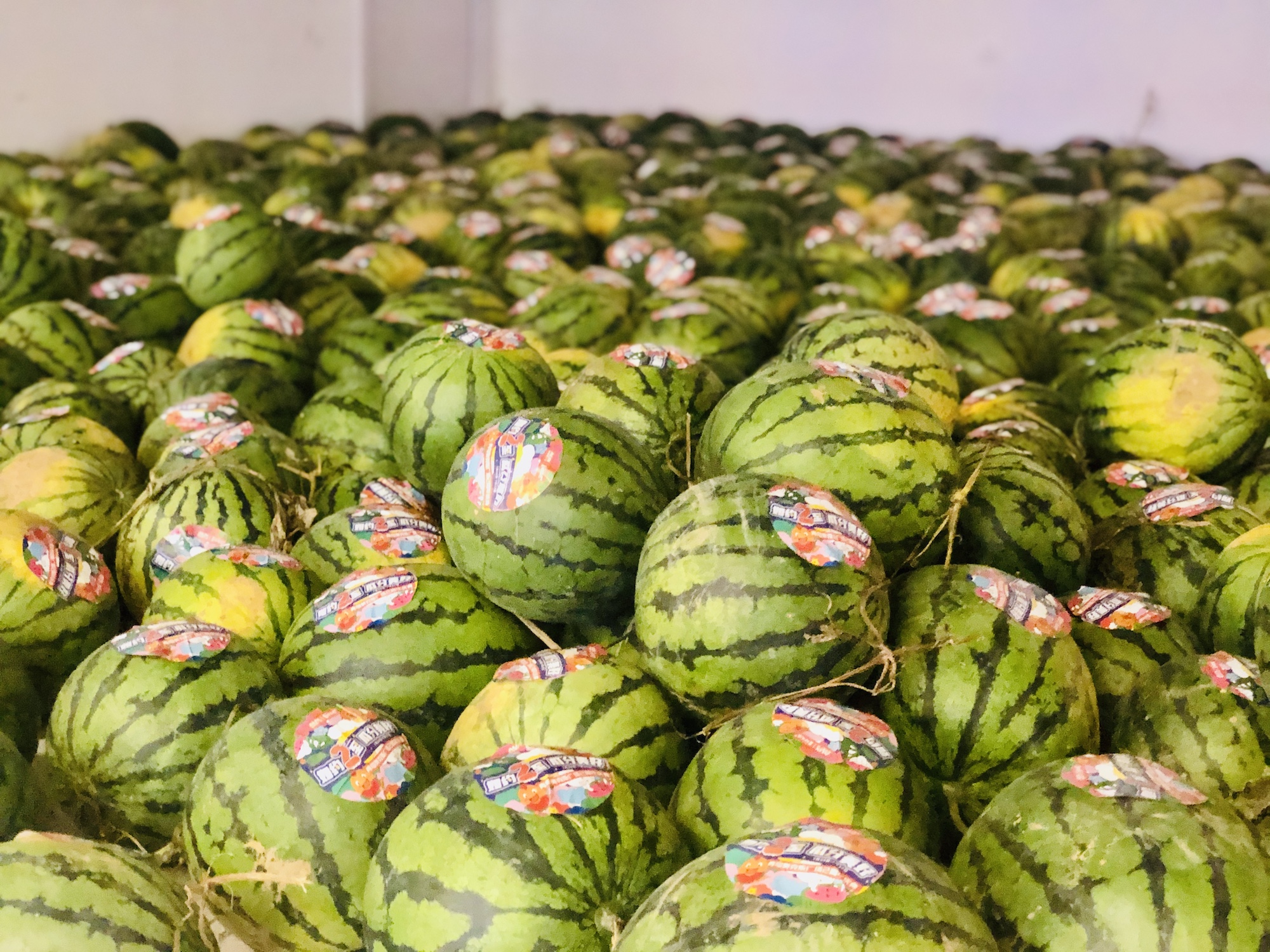 如约2至 瓜分美好｜青岛奥克斯广场2周年庆圆满落幕 