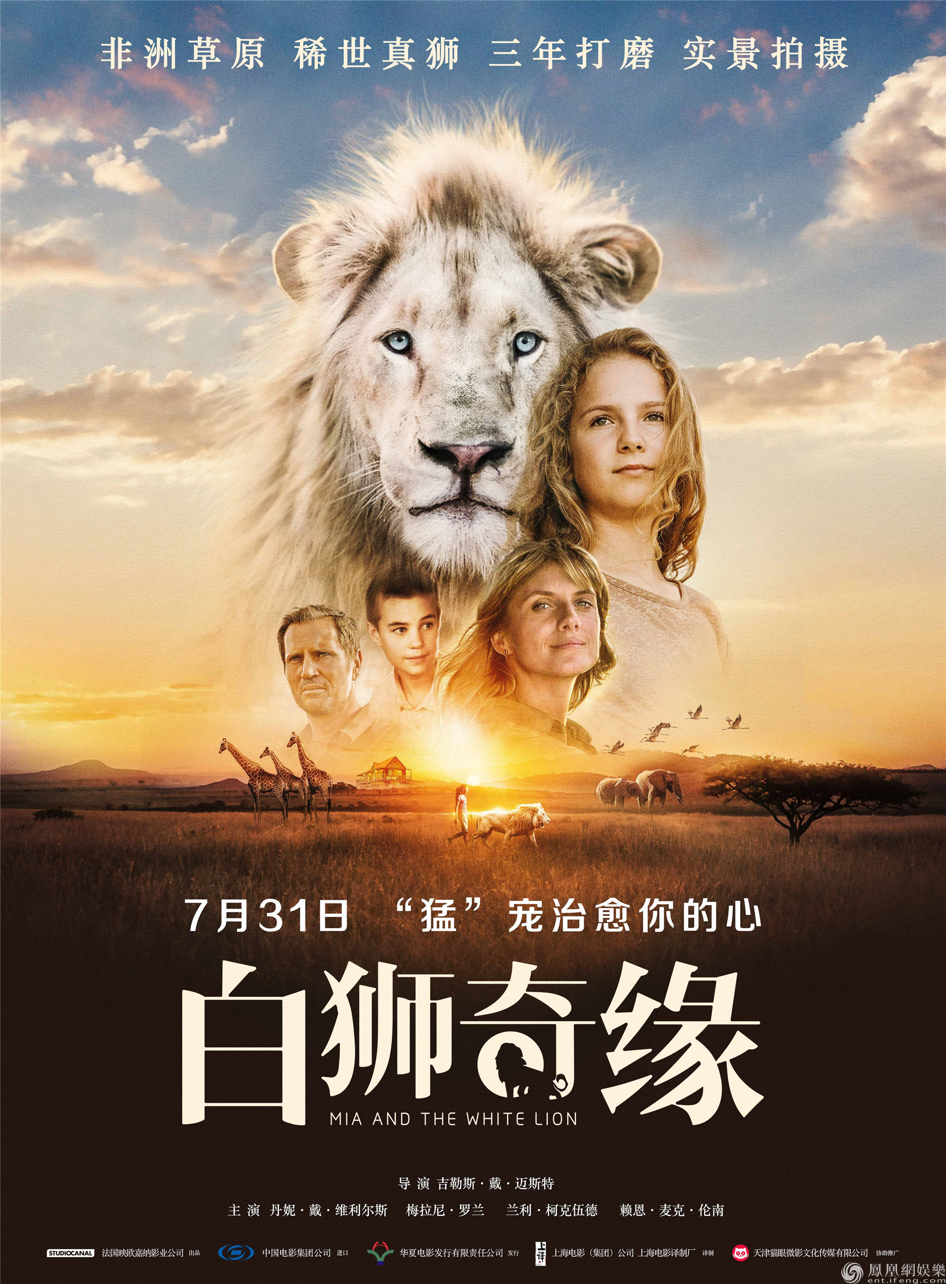 电影《白狮奇缘》海报