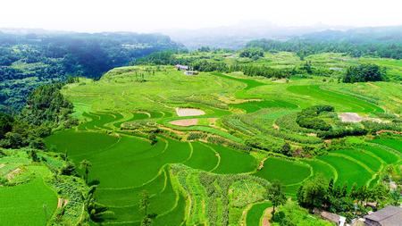 脱贫致富奔小康綦江三角镇中坝村的秘诀在哪