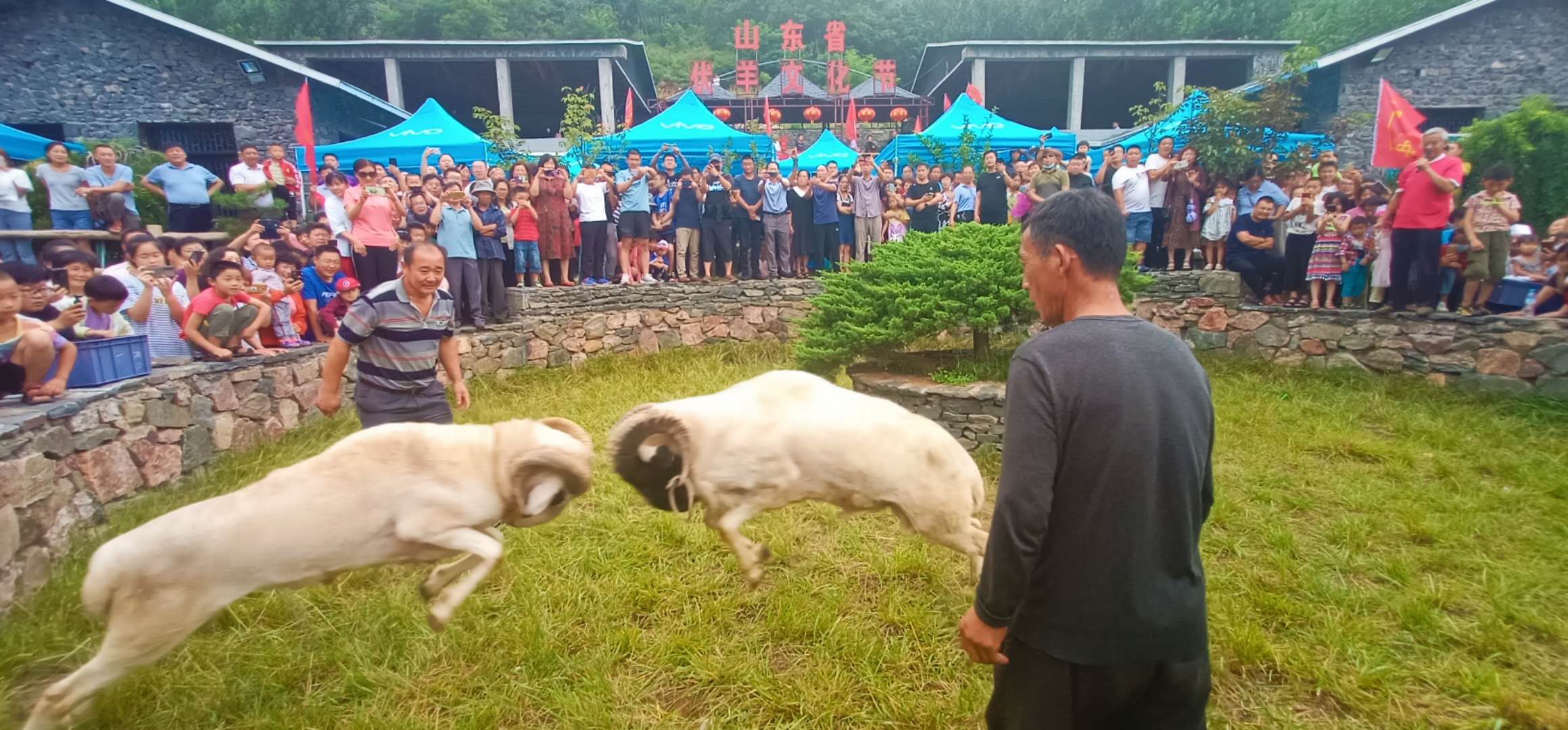 山东沂源:弘扬伏羊文化 助推乡村振兴