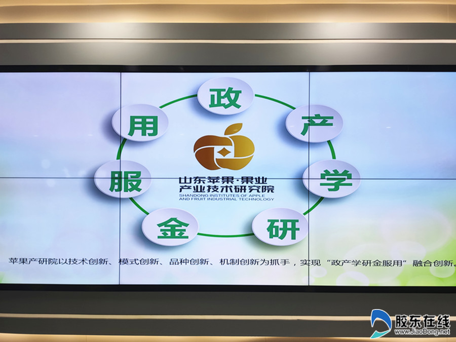 苹果产研院有效集聚政产学研金服用各类创新要素,打造区域性,链条式