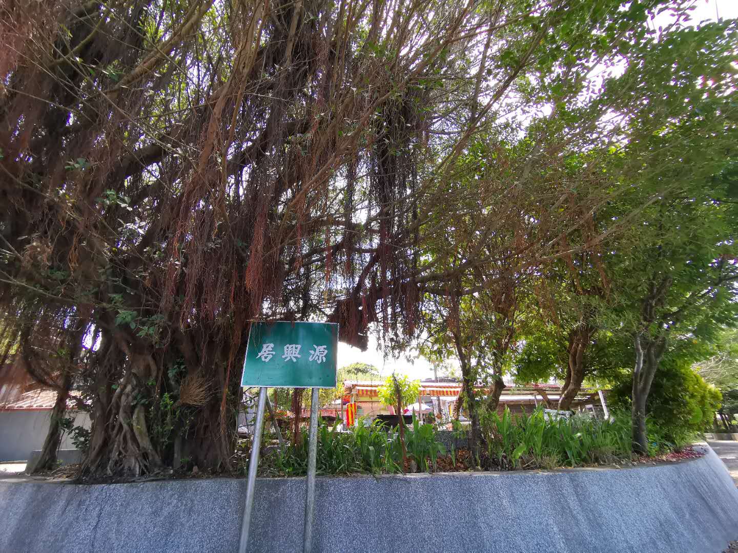 破落的源兴居,几乎被荒废