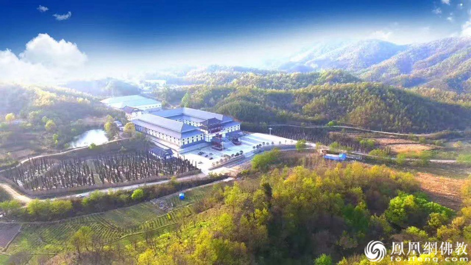桐柏木雕博物馆见闻：不仅有“东方神木”，还有……