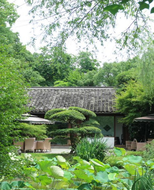 金梧桐提名餐厅丨龙井草堂