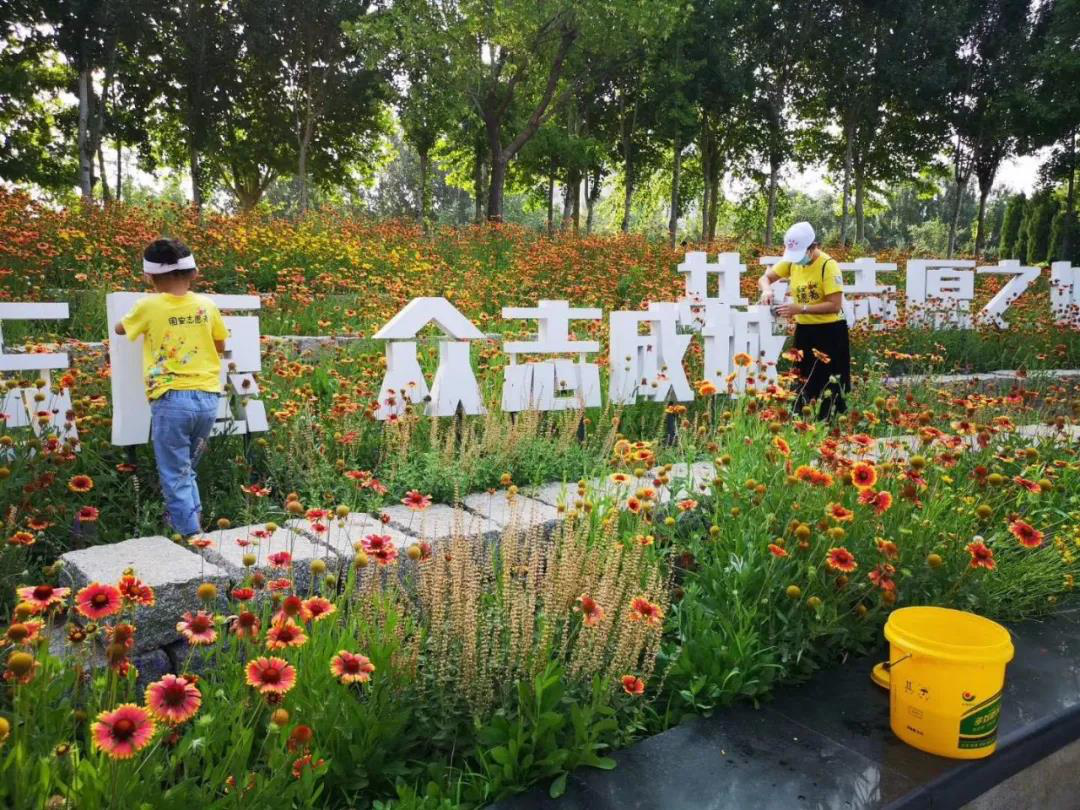 图：固安志愿公园志愿者在行动