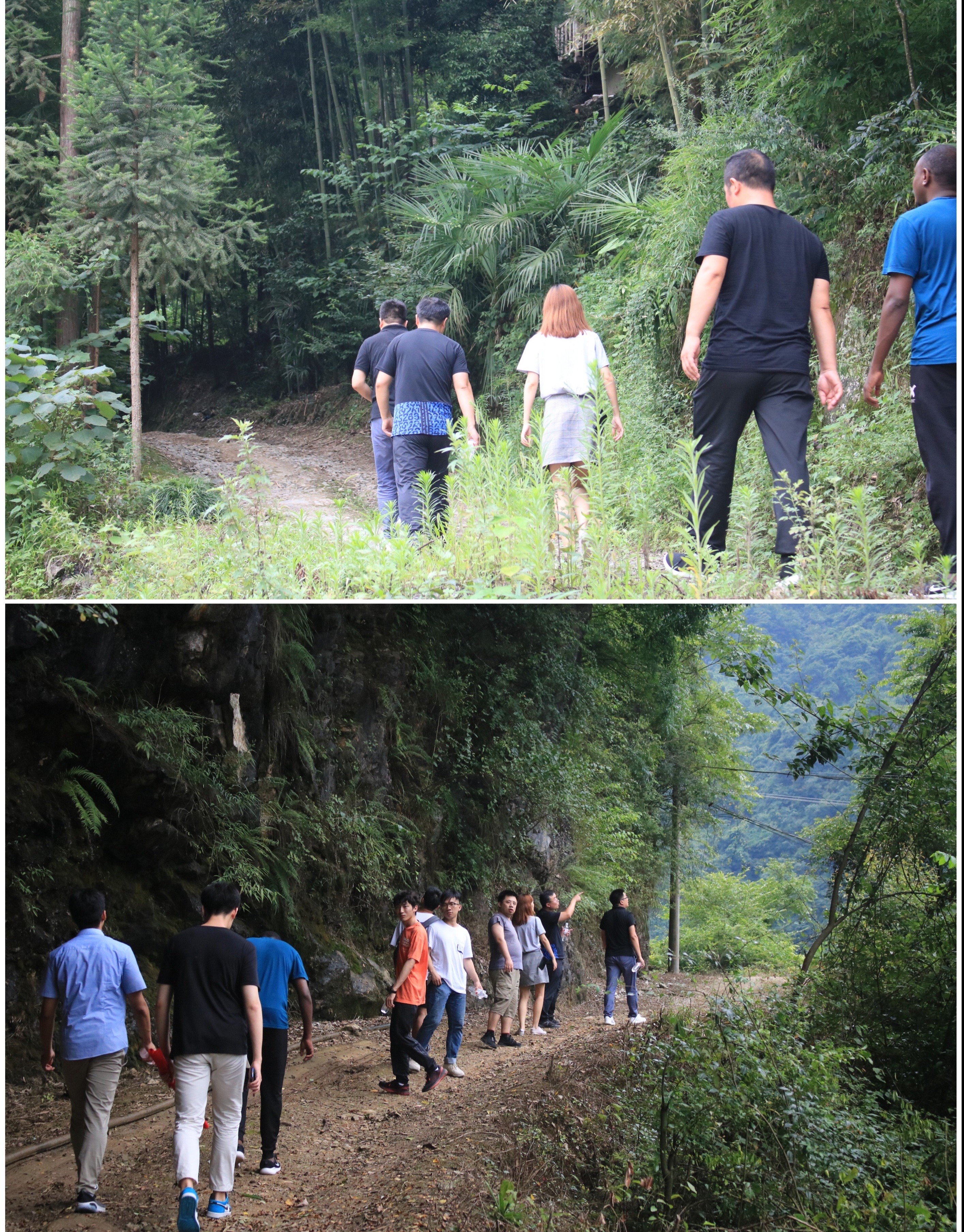 西工大中外学子共赴秦巴山深处开展脱贫攻坚社会实践调研