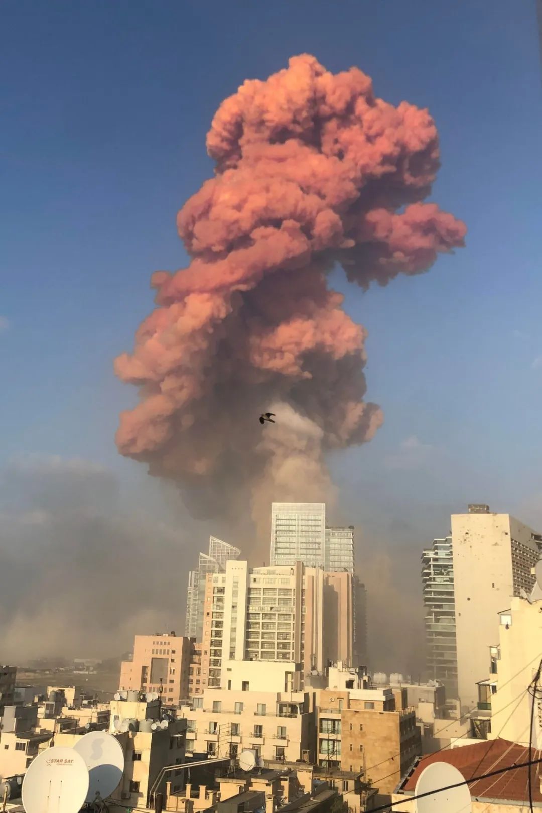 黎巴嫩大爆炸与以色列有关 国际问题专家马晓霖解读丨风向 凤凰网资讯 凤凰网