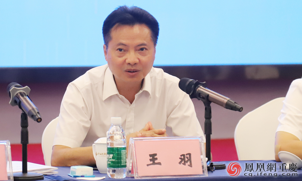 四川省教育厅二级巡视员王羽讲话