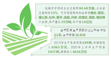 运城市全面推进药茶产业高质量发展