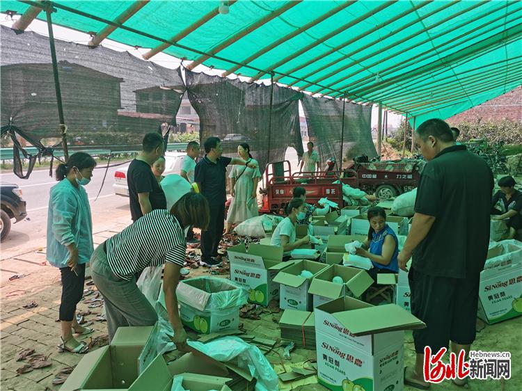 7月27日，魏县相关部门执法人员在魏城镇西南温村一果品交易市场检查。 通讯员牛鹏斐摄