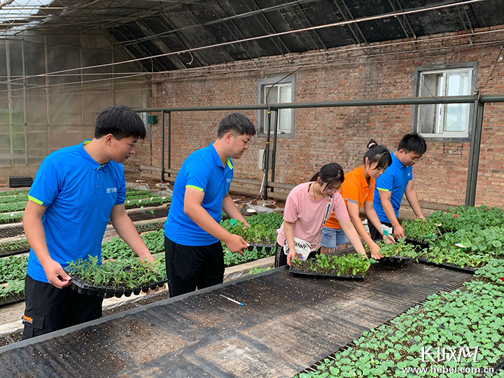 河北农业大学园艺学院组织大学生在园区实践。通讯员 边贵成 摄