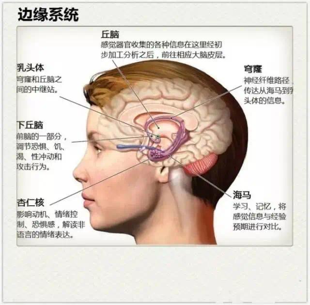 B9F8A70177602DF5C2A36C6EB5724D2DE9AE47AF_w640_h630.jpg