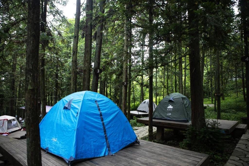 图 | 摩围山露营基地