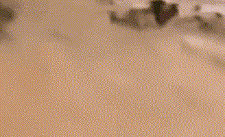 实拍：浙江村民十几头牛在台风中被洪水冲走