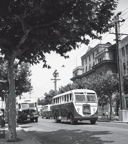 1956年,梧桐树庇荫下的南京新街口