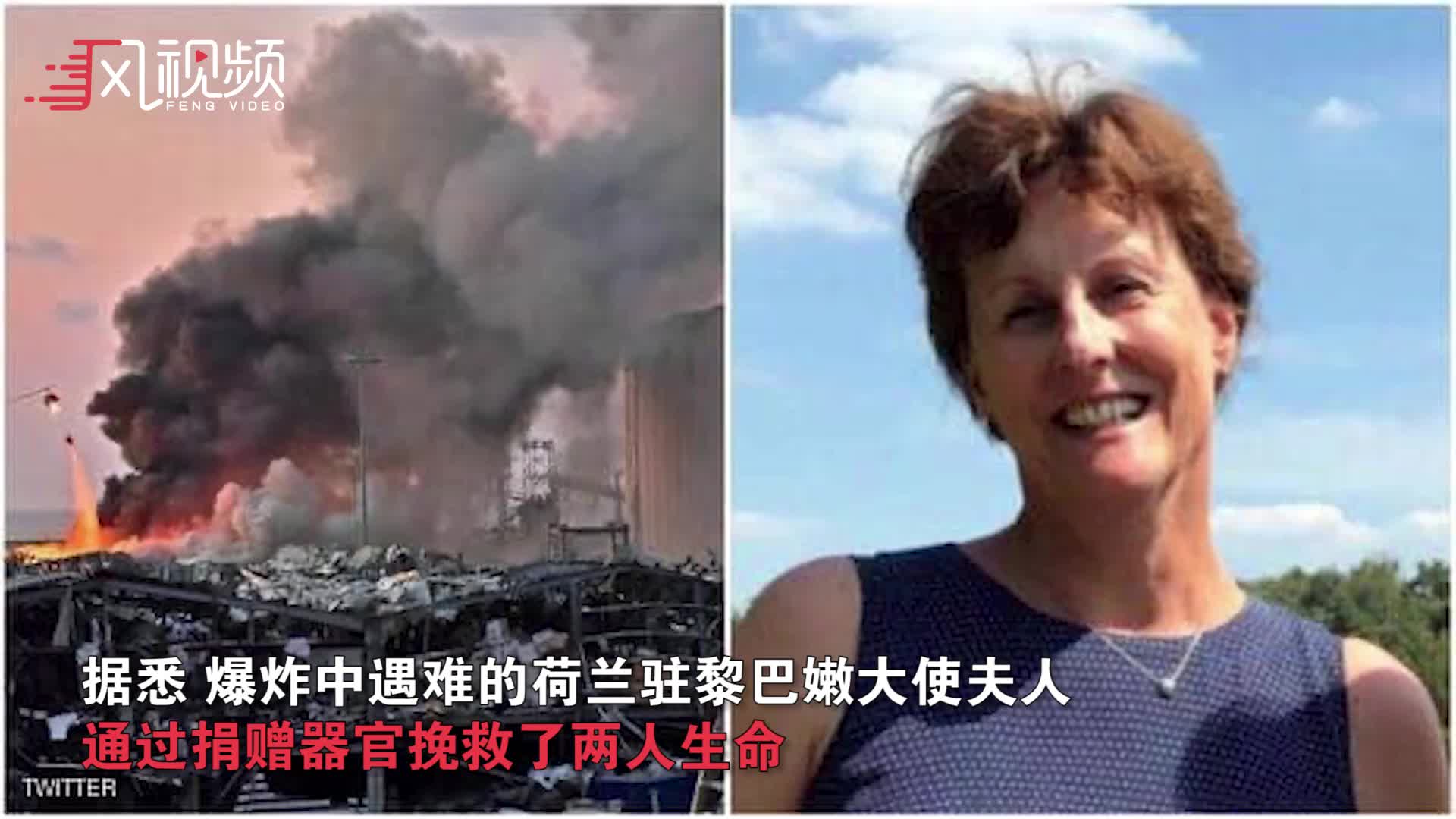 爆炸遇难荷兰大使夫人 通过器官捐赠挽救两人生命