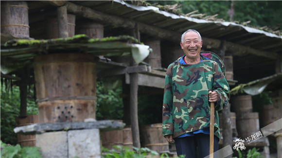 老党员陈世超和他的"甜蜜"事业.华龙网-新重庆客户端记者 王珏 摄