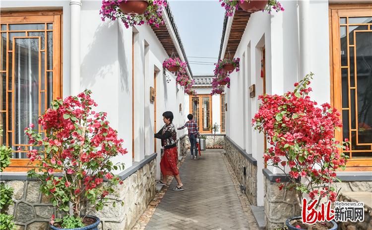 近年来,北戴河村加强基础设施建设,同时利用村里闲置多年的老宅院吸引京津等地知名艺术家和艺术机构入驻,精心打造出别具一格的艺术村落。(河北日报资料图)河北日报记者赵杰摄