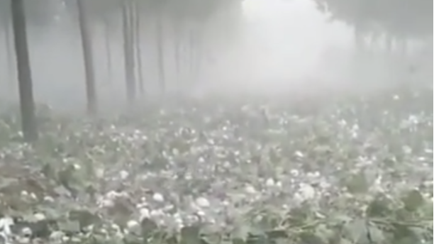 河北下起鸡蛋大小冰雹 落地声音如打雷