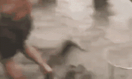 实拍：鱼群壮观跃出水面 近百市民冒险捕捉带回家