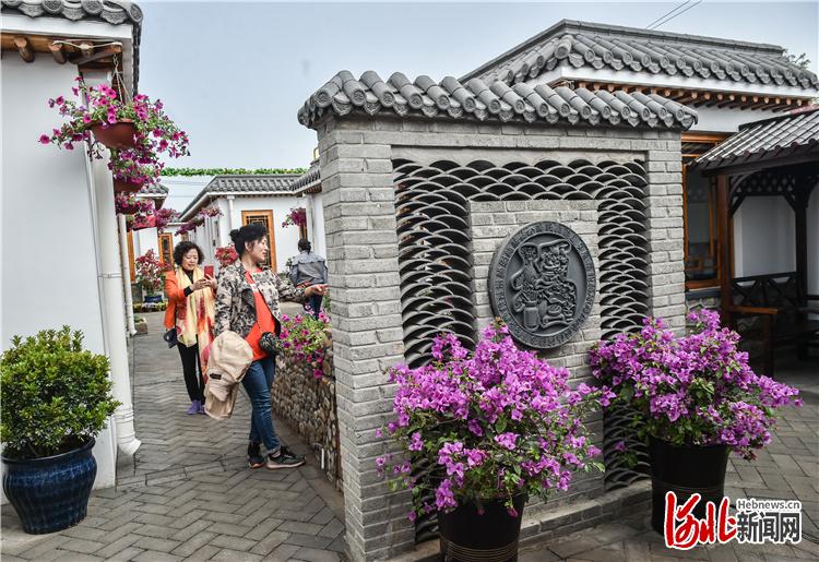 近年来,北戴河村加强基础设施建设,同时利用村里闲置多年的老宅院吸引京津等地知名艺术家和艺术机构入驻,精心打造出别具一格的艺术村落。(河北日报资料图)河北日报记者赵杰摄