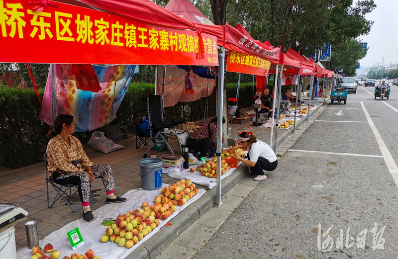2020年8月12日，河北省张家口市桥东区王家寨村村民在路边销售桃子。