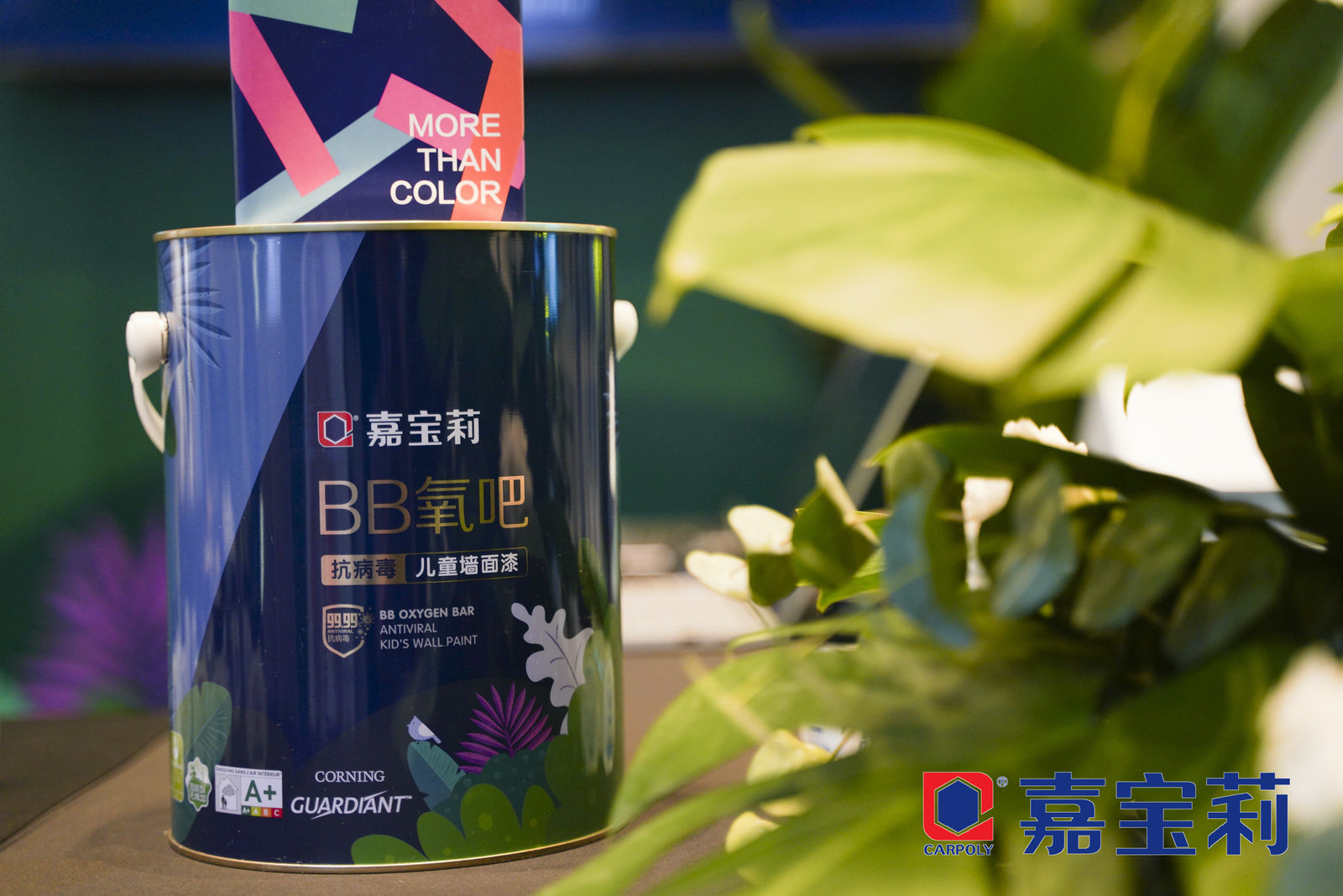 无畏病毒健康同行嘉宝莉革命性抗病毒涂料新品发布会