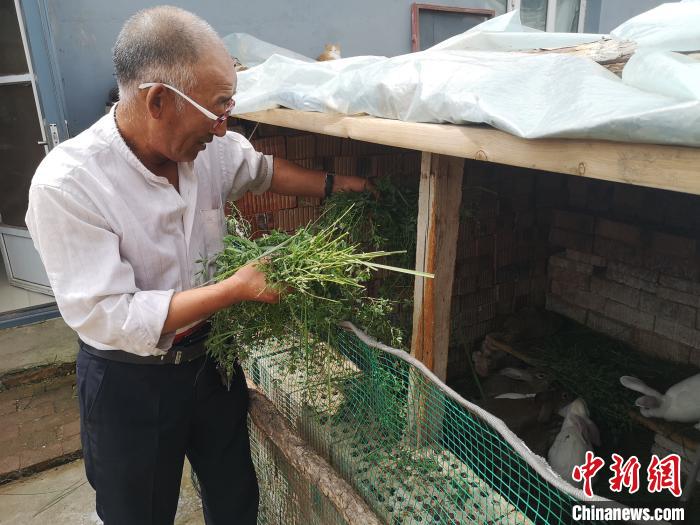 图为村民张艾走勤劳致富路，正在喂养兔子。　李洋 摄