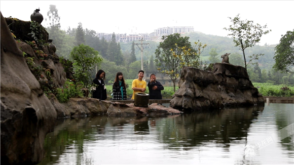 王天学家的农家乐修建有景观池塘，里面还养殖的鲜鱼收到游客欢迎。华龙网-新重庆客户端记者 曹建 摄