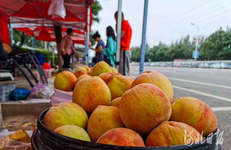 2020年8月12日，河北省张家口市桥东区王家寨村路边待销售的桃子。