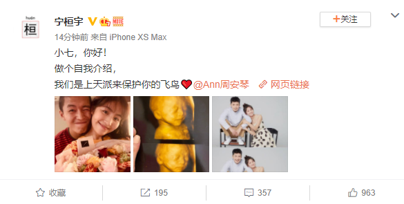 宁桓宇发文