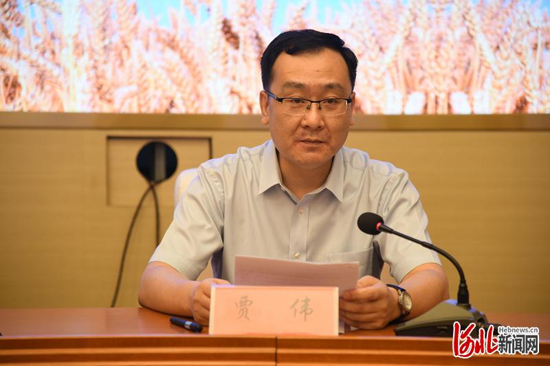 图为河北日报报业集团副总编辑贾伟致辞。 田泽阳摄