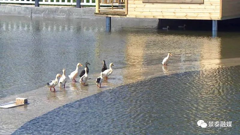 醉美桃花村靓丽南大门 甘肃景泰这块仙境藏不住了！