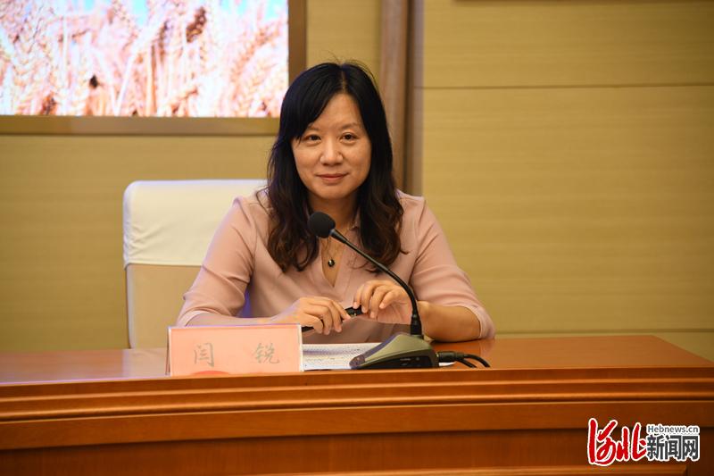 河北新闻网总编辑闫锐答记者问。 田泽阳摄