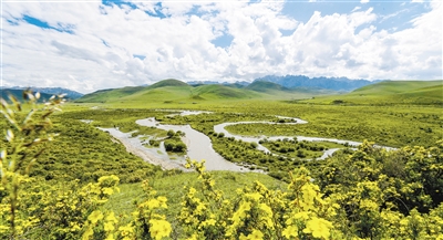 洮河谷地图片