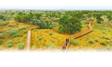 游客在八步沙林场参观 新甘肃&middot;甘肃日报记者 盛学卿