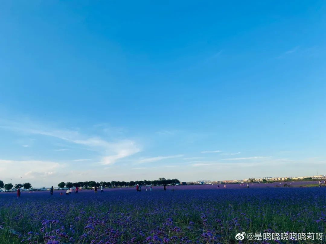 十年影像“话”兰州新区 快来为美好打call