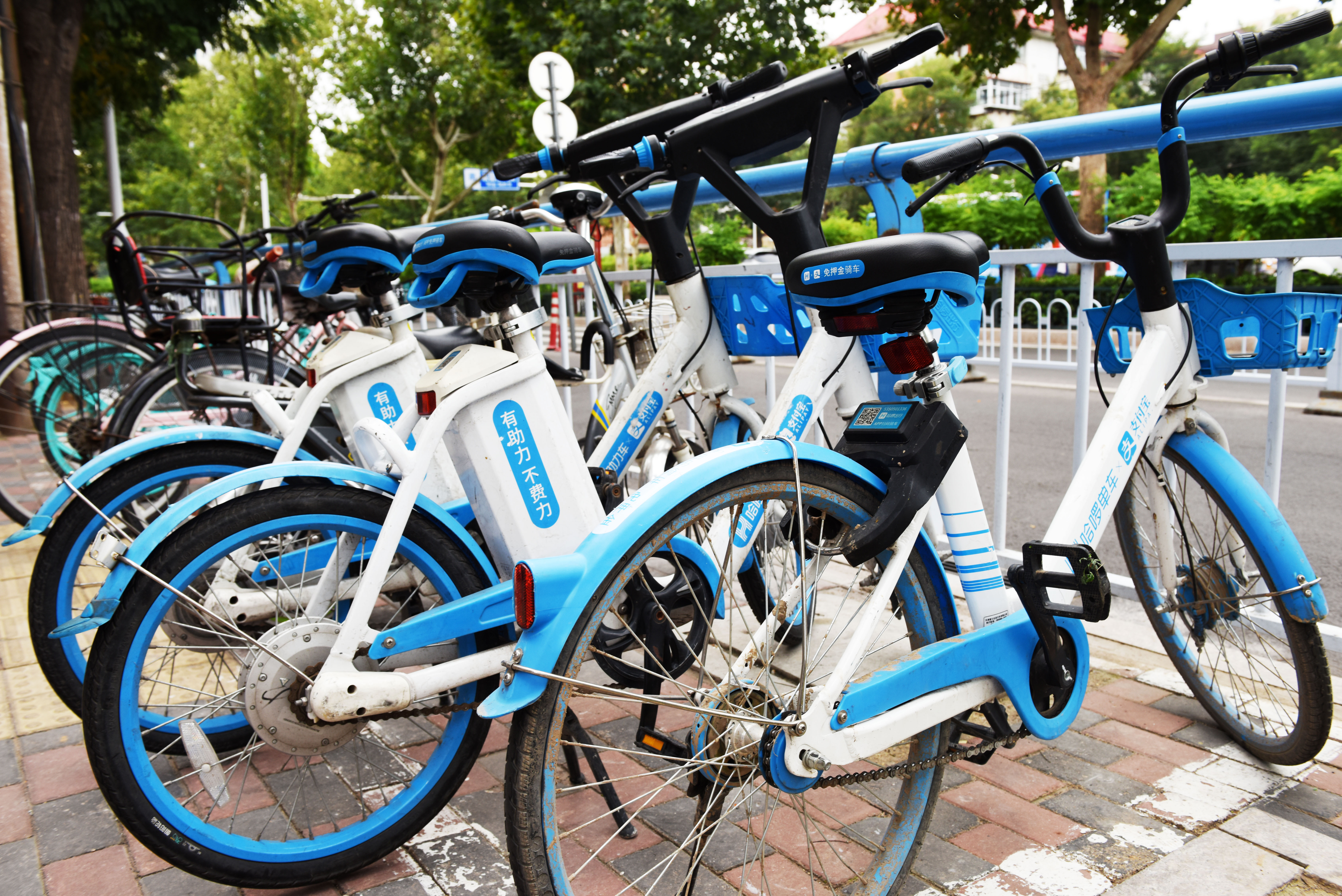 石家庄市长安区谈固街道携手哈啰出行开展文明法制共建活动凤凰网河北