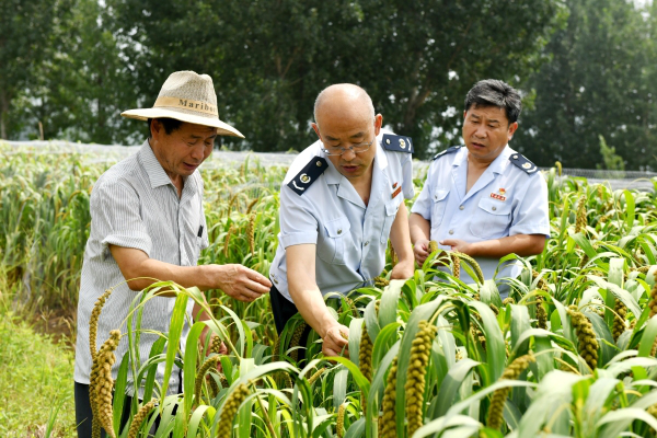 沂源县税务局工作人员现场了解农作物种植情况，确保优惠政策落实到位（张梁巍/摄）