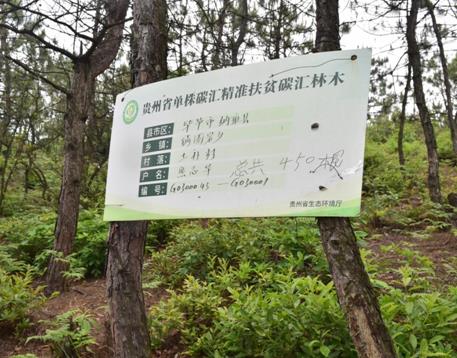 贵州省单株碳汇精准扶贫碳汇林木