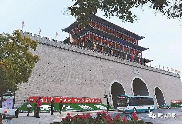 走进武威 凉州归来:康震品《凉州词》与凉州文化