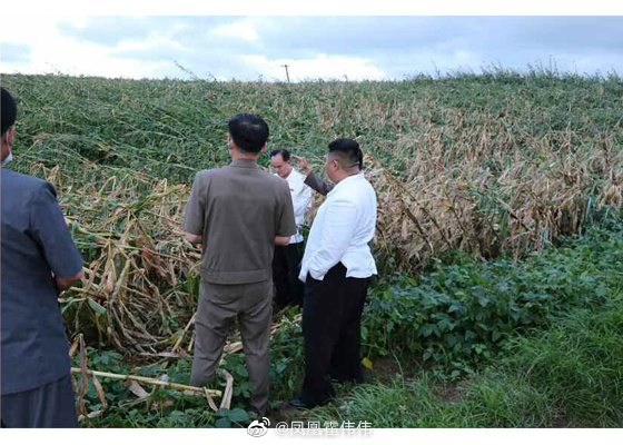 金正恩到黄海南道考察台风灾情