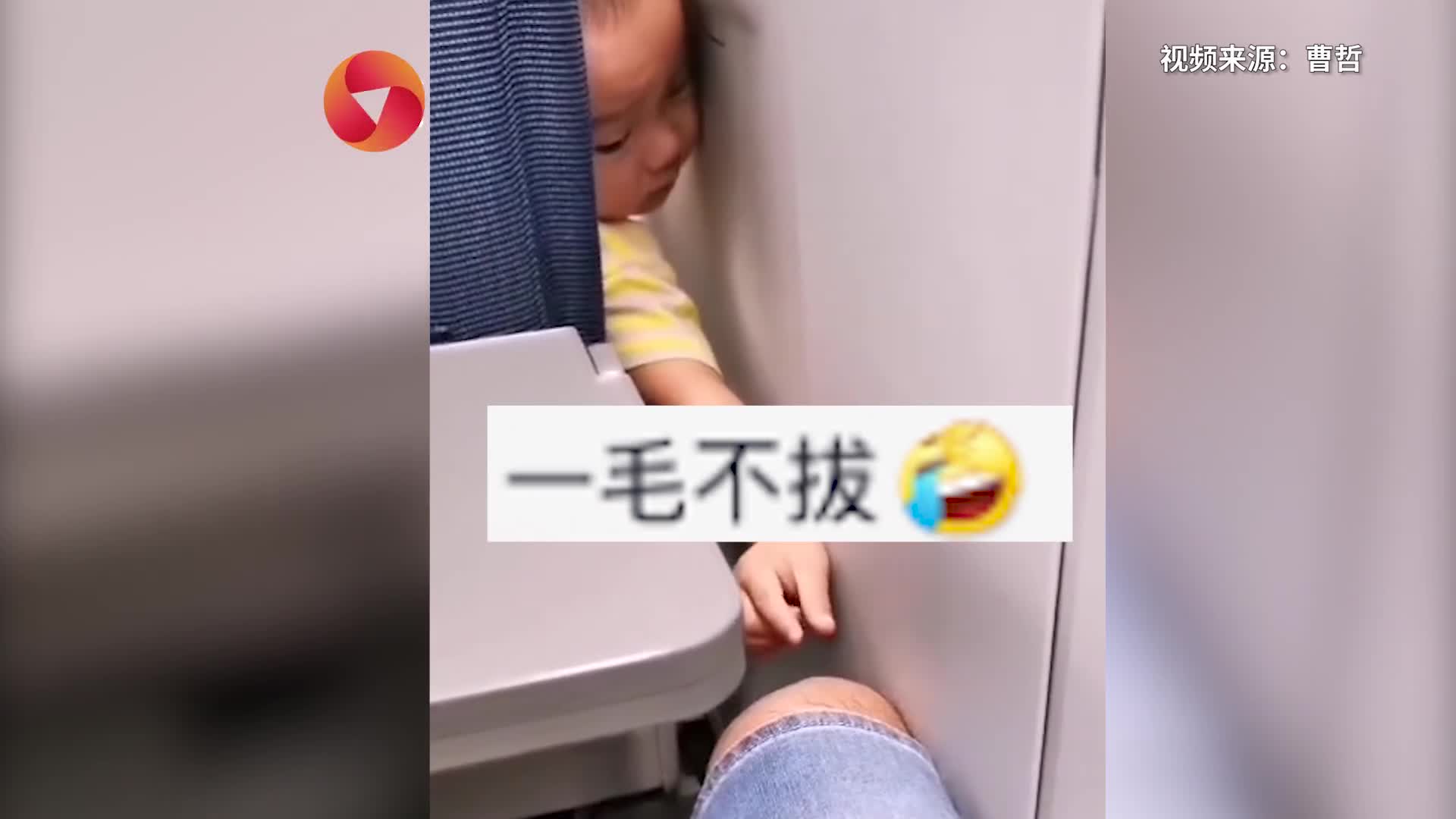 萌娃坐高铁拔后座乘客腿毛悄咪咪的样子萌化网友