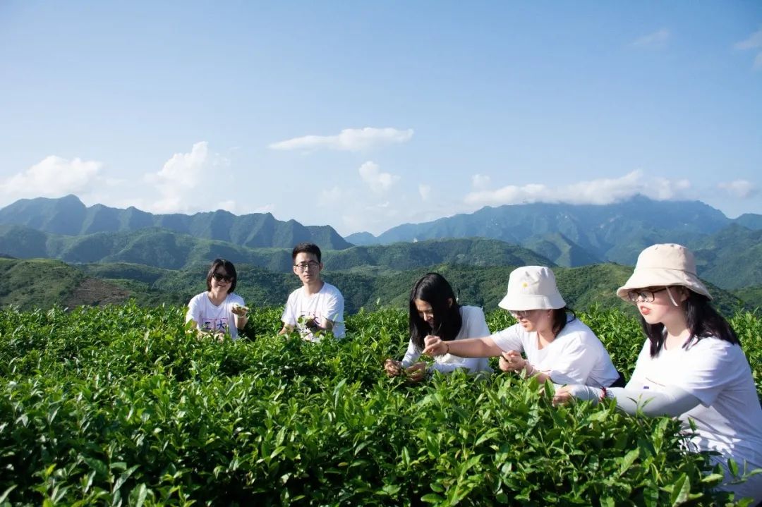茶创小镇