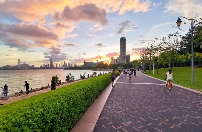 《深圳灣濱海休閑帶景觀設計及技術總協調》©中規院深圳分院