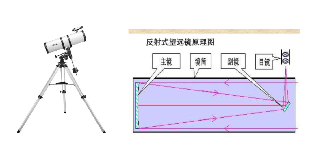 8365E68C3A30ED28E61E1410B9C0976B9F1B6156_w1080_h564.png