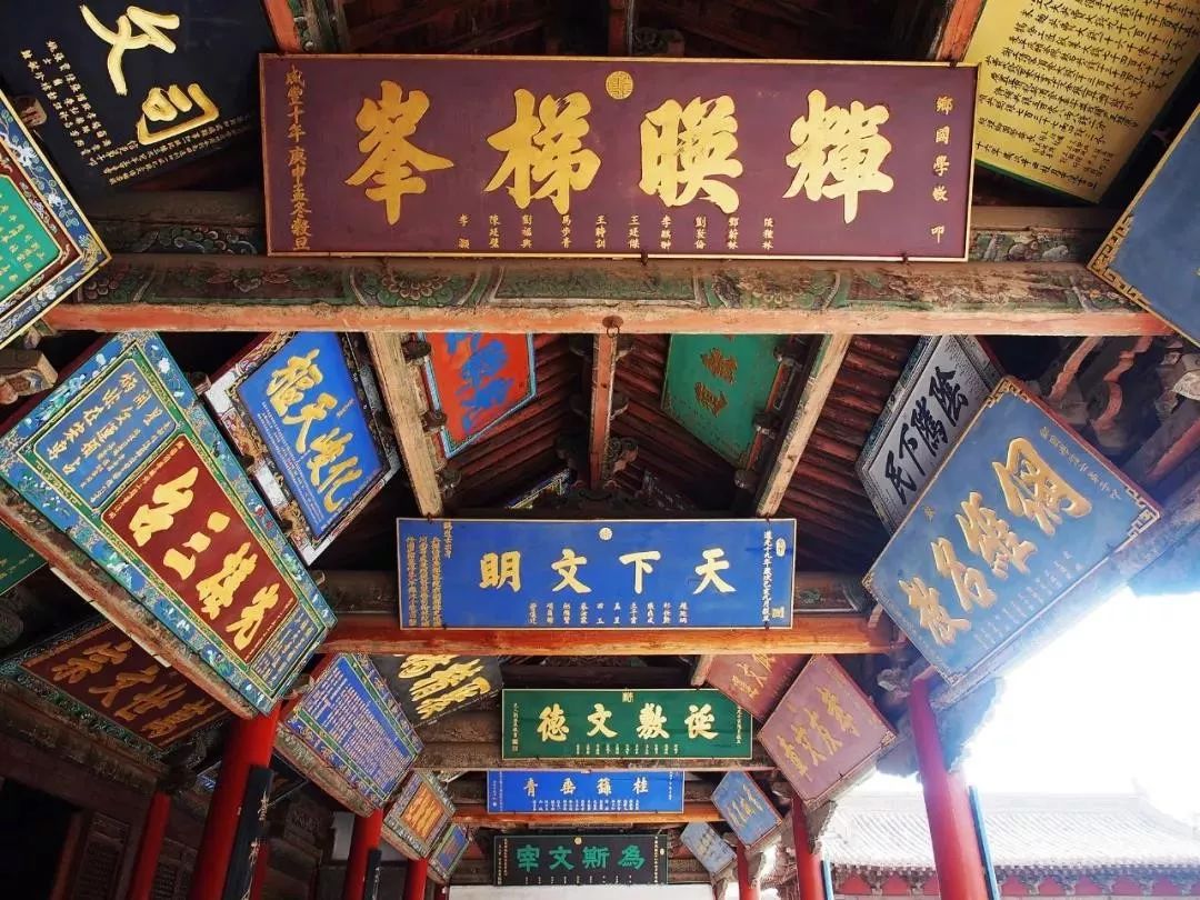 走进武威 凉州归来:康震品《凉州词》与凉州文化