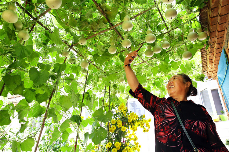 2020年8月21日,河北省张家口市下花园区武家庄村利用当地砖文化发展特色旅游。