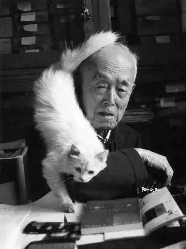 季羡林（1911—2009），山东清平（今并入临清市）人。1930年考入清华大学西洋文学系。1935年赴德国留学，在哥廷根大学学习梵文、巴利文、吐火罗文等印度及中亚古代语文。1941年获博士学位。1946年回国后历任北京大学教授兼东方语言文学系主任、北京大学副校长、中国科学院哲学社会科学部委员。著有散文集《天竺心影》、《朗润集》、《留德十年》、《牛棚杂忆》、《病榻杂记》等。