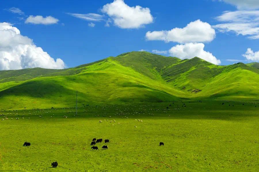 都说九色甘南，到底是哪九色呢？